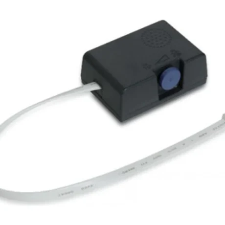 Epson Summer / Buzzer